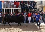 Los toros centran la jornada festiva