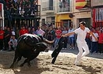 Los toros centran la jornada festiva