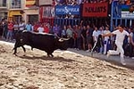 Los toros centran la jornada festiva