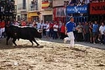 Los toros centran la jornada festiva