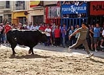 Los toros centran la jornada festiva