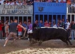 Los toros centran la jornada festiva