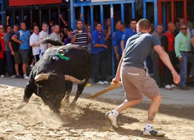 Fotografia /Gallery/16749_9325/3_M1.jpg