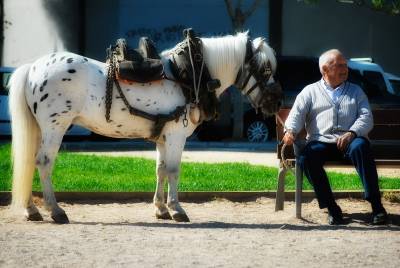 Fotografia /Gallery/16769_9323/2_M1.jpg