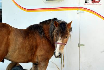 Fotografia /Gallery/16769_9323/4_M1.jpg