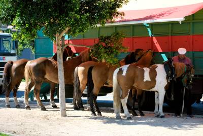 Fotografia /Gallery/16769_9323/5_M1.jpg