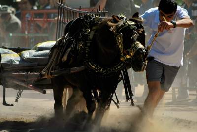 Fotografia /Gallery/16769_9323/6_M1.jpg