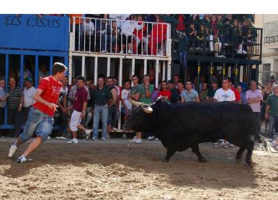 Fotografia /Gallery/16799_9360/2_M1.jpg