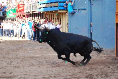 Fotografia /Gallery/16808_9347/2_M1.jpg