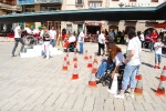 Ginkana Acudim