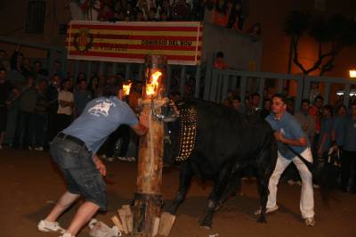 Fotografia /Gallery/16815_9357/2_M1.jpg