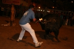 Toro Enbolado