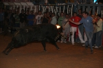 Toro Enbolado