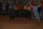 Toro Enbolado