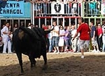 Toros de Guardiola y Gerardo Ortega