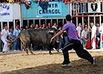 Toros de Guardiola y Gerardo Ortega