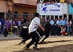 Toros de Guardiola y Gerardo Ortega