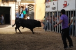 Toros de Guardiola y Gerardo Ortega