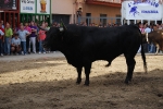 Toros de Guardiola y Gerardo Ortega