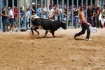 Vacas para los mayores y encierro infantil para los pequeños
