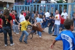 Vacas para los mayores y encierro infantil para los pequeños