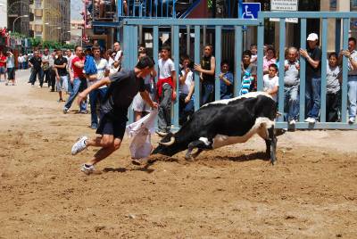 Fotografia /Gallery/16850_9376/3_M1.jpg