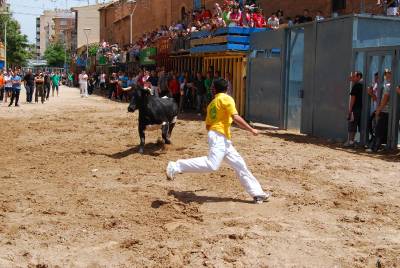 Fotografia /Gallery/16850_9376/4_M1.jpg