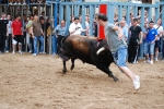 Los toros de Torrealta llenan la vila del bou