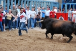 Los toros de Torrealta llenan la vila del bou