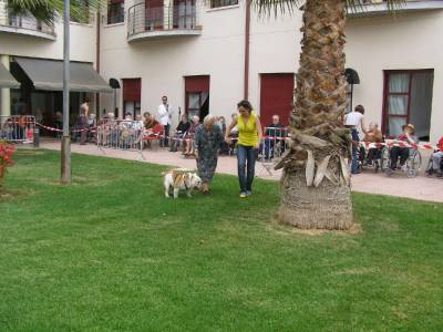 Fotografia /Gallery/16927_9430/2_M1.jpg