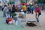 Paellas 