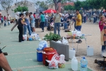 Paellas 