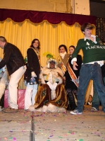 Los niños reciben a los Reyes Magos en la plaça la Vila