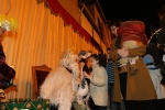 Los niños reciben a los Reyes Magos en la plaça la Vila