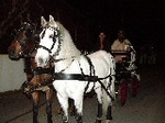 Fotografia /Gallery/1705_933/7_M1.jpg