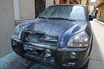 Fotografia /Gallery/17175_9616/6_M1.jpg