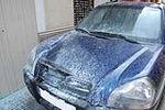 Fotografia /Gallery/17175_9616/9_M1.jpg
