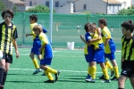El Alevín B del Alqueries, campeón de liga