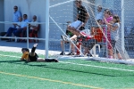 El Alevín B del Alqueries, campeón de liga