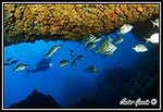 Fotografia /Gallery/18234_10201/1_M1.jpg