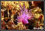 Fotografia /Gallery/18234_10201/3_M1.jpg