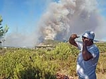 Fotografia /Gallery/18987_10731/5_M1.jpg