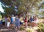 Fotografia /Gallery/18987_10731/6_M1.jpg