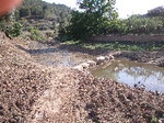 Fotografia /Gallery/19123_10809/1_M1.jpg