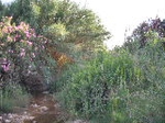 Fotografia /Gallery/19123_10809/2_M1.jpg