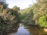 Fotografia /Gallery/19123_10809/3_M1.jpg
