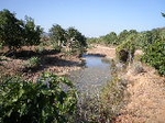 Fotografia /Gallery/19123_10809/5_M1.jpg