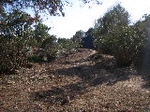 Fotografia /Gallery/19123_10809/6_M1.jpg