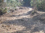 Fotografia /Gallery/19123_10809/7_M1.jpg