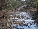 Fotografia /Gallery/19123_10809/8_M1.jpg